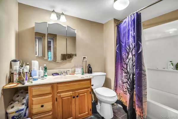 a bathroom with a sink toilet vanity and shower