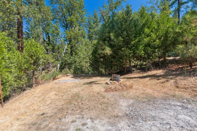 a view of a yard with a tree