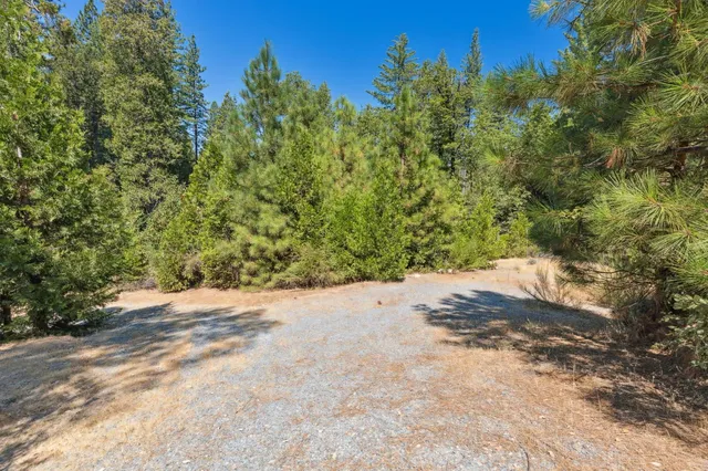 a view of a yard with a tree