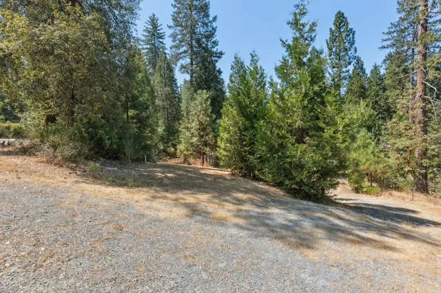 a view of a yard with a tree