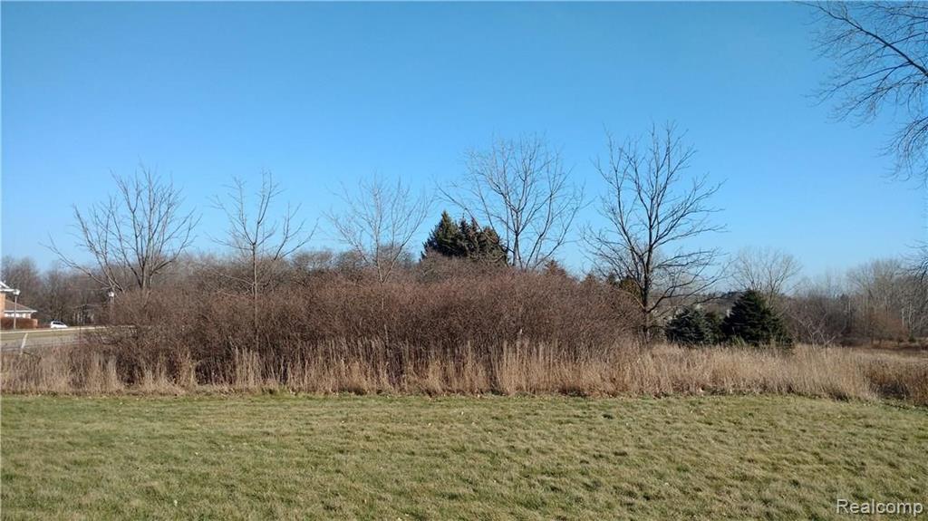 0 McCandlish Road Grand Blanc, MI 48439 - Photo 16 of 31 Gallery Image 16