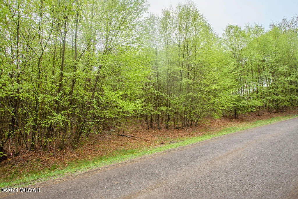 193 Pole Bridge Road Benton, PA 17814 - Photo 45 of 49 2D8A0118-Edit