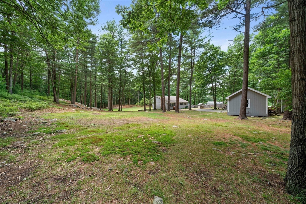 4 Lakeview Road Foxboro, MA 02035 - Photo 24 of 32 a backyard of a house with lots of green space