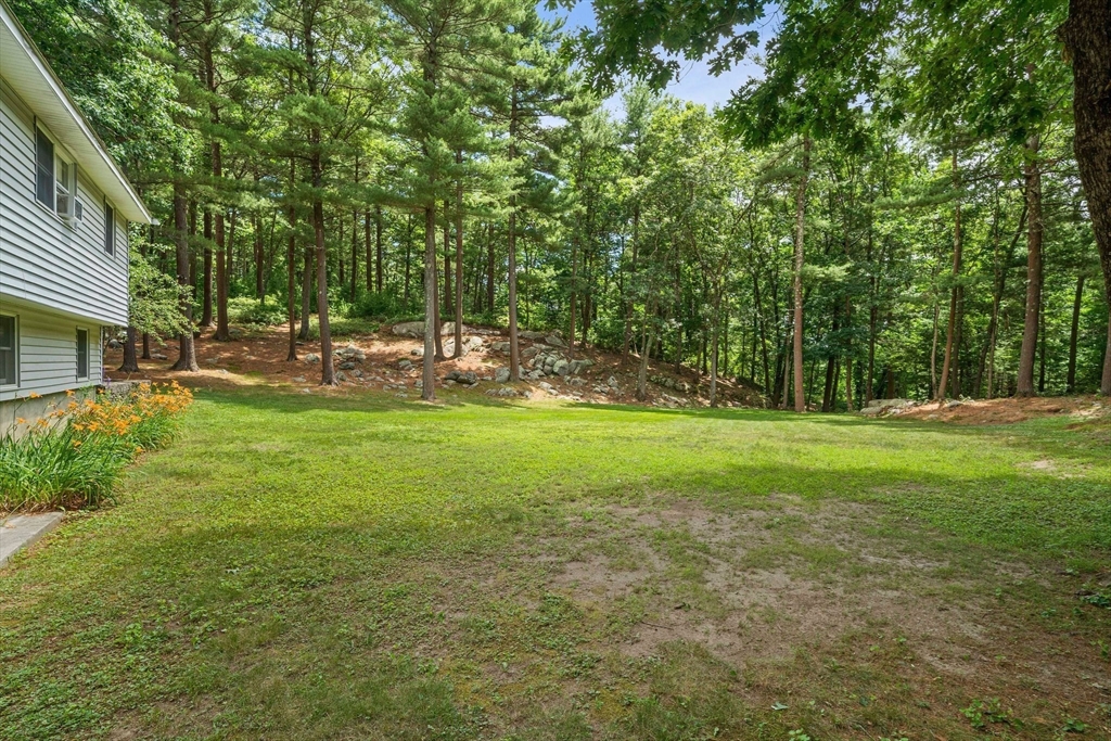 4 Lakeview Road Foxboro, MA 02035 - Photo 28 of 32 a view of a park with large trees