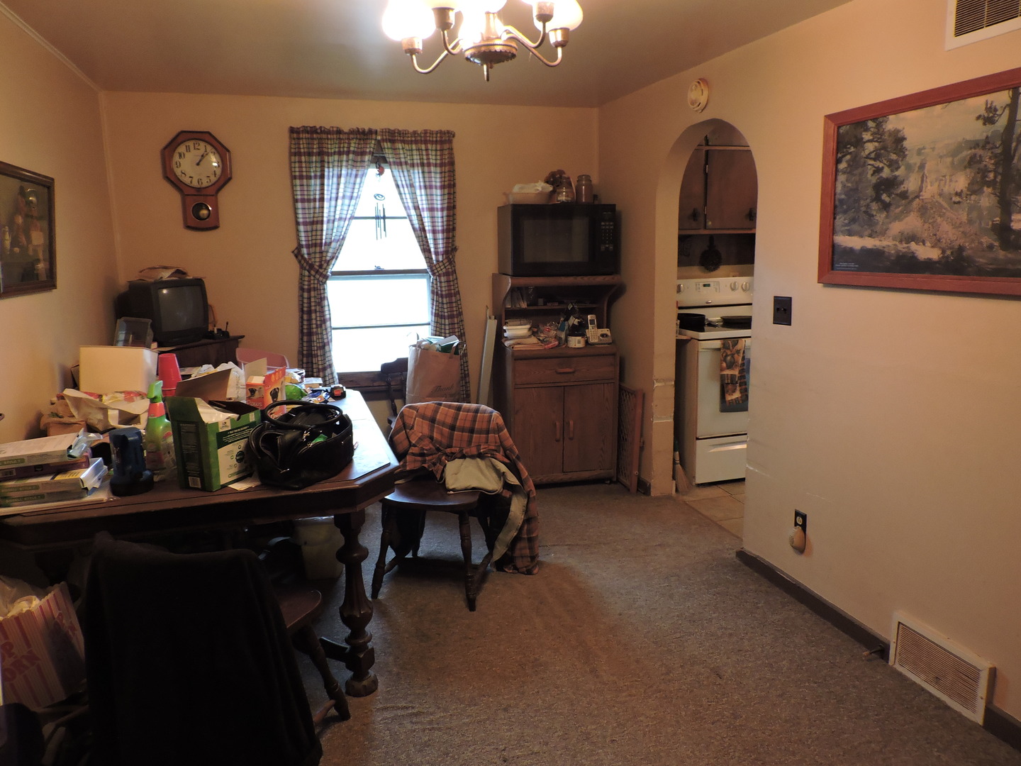 202 South Front Street Danforth, IL 60930 - Photo 3 of 7