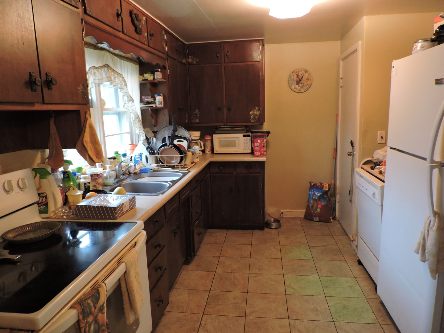 202 South Front Street Danforth, IL 60930 - Photo 4 of 7