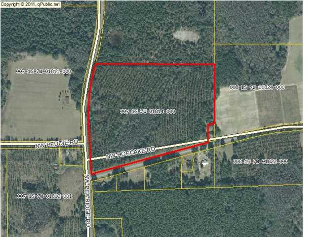 0 Southwest Hoecake Road Bristol, FL 32321 - Photo 1 of 1 Gallery Image 1