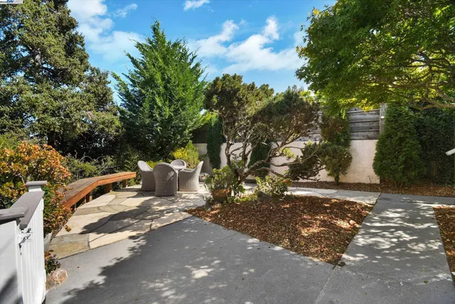 a view of a outdoor space with plants and trees