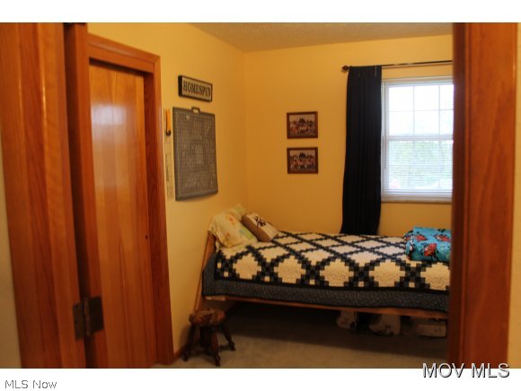 489 Milhoan Ridge Road Ravenswood, WV 26164 - Photo 13 of 17 Bedroom 1