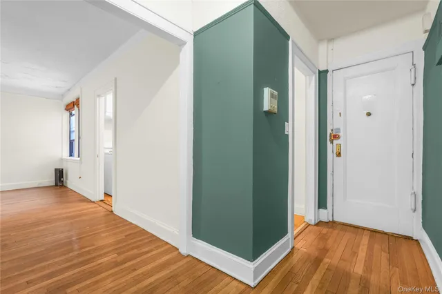 a view of a big room with wooden floor and closet