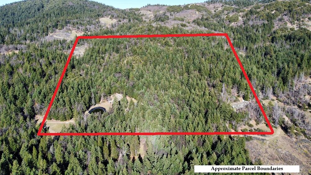 5735 Forest Rte 1N08 Bridgeville, CA 95526 - Photo 4 of 55
