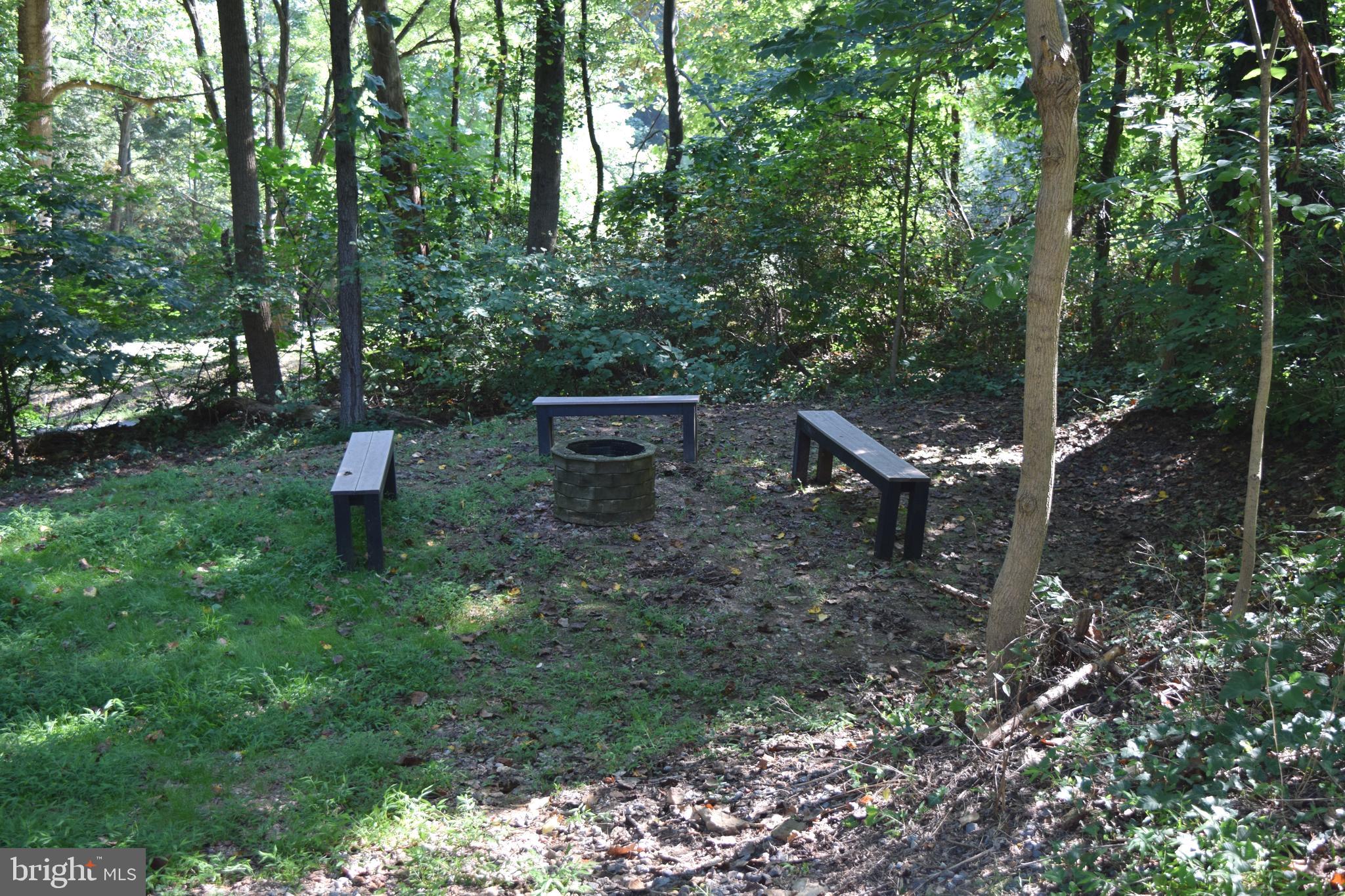 205 Goods Road Conestoga, PA 17516 - Photo 10 of 33 Fire pit & 2nd Driveway