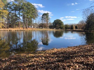 5141 Old River Road Fortson, GA 31808 - Photo 54 of 66 Gallery Image 54