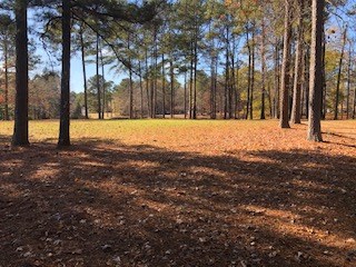 5141 Old River Road Fortson, GA 31808 - Photo 65 of 66 Gallery Image 65