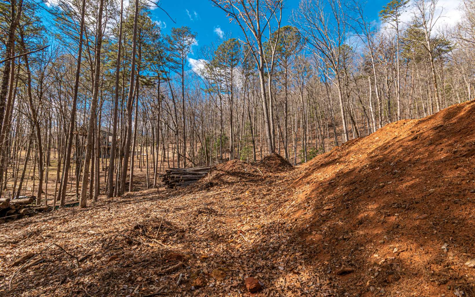 1.34 A Laurel Branch Blue Ridge, GA 30513 - Photo 22 of 36 Additional View