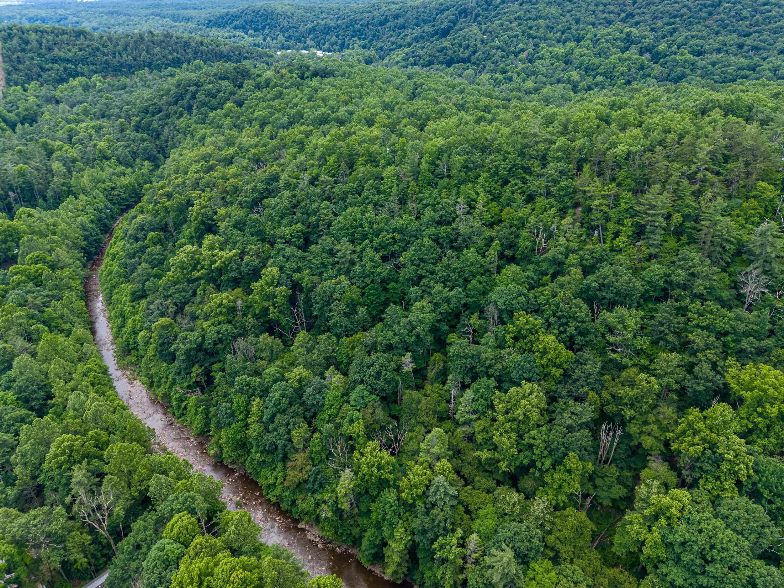 5 Rabbits Foot Road Hinton, VA 22831 - Photo 13 of 16