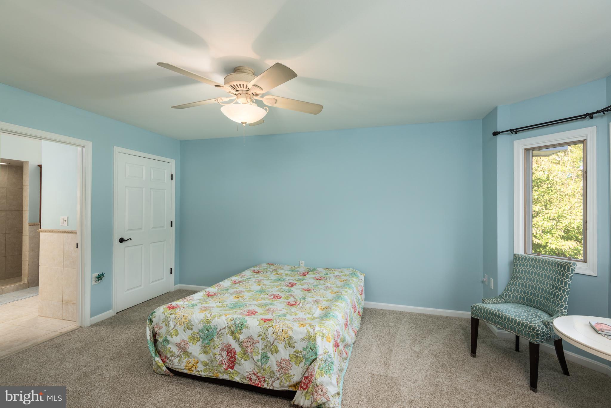 105 Barren Ridge Road Chester, MD 21619 - Photo 24 of 46 New carpet, freshly painted