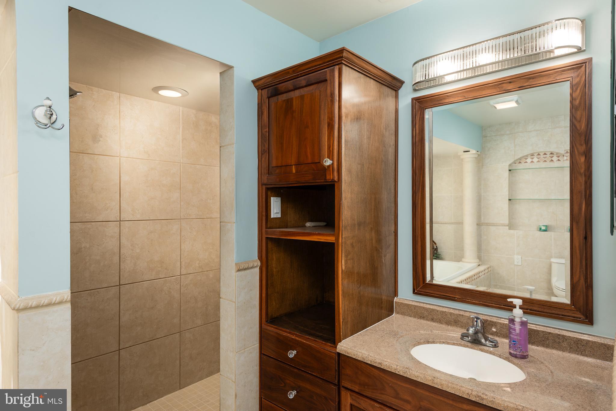 105 Barren Ridge Road Chester, MD 21619 - Photo 27 of 46 Separate shower, custom cabinetry