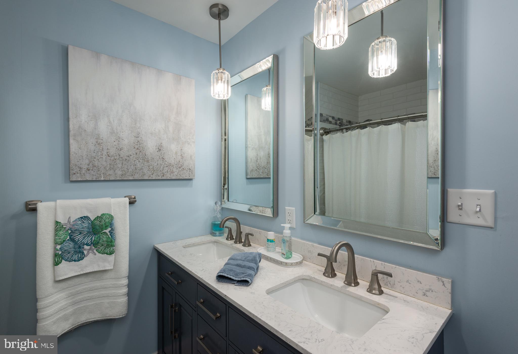 105 Barren Ridge Road Chester, MD 21619 - Photo 32 of 46 with dual sinks