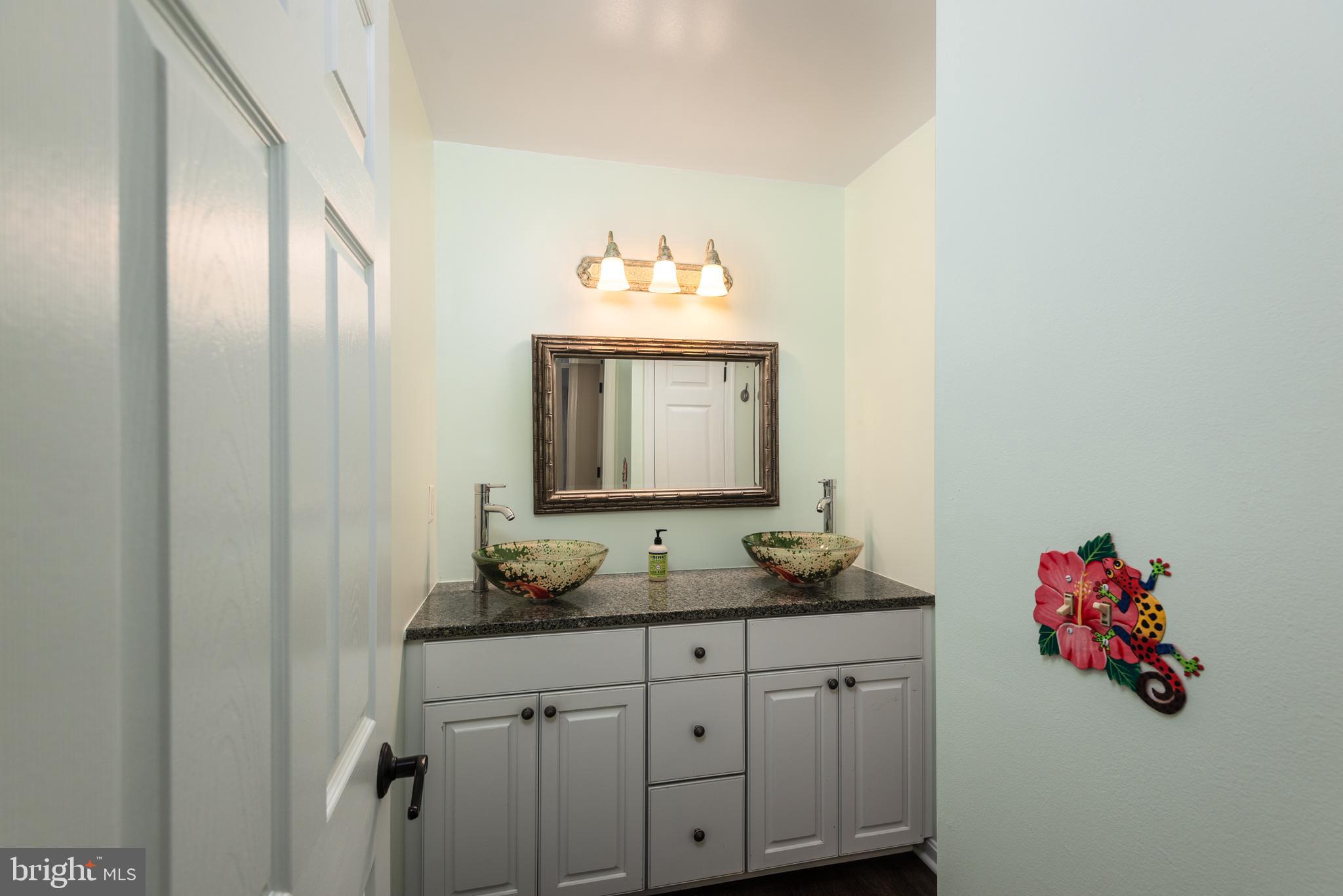 105 Barren Ridge Road Chester, MD 21619 - Photo 36 of 46 Hall bath w/ dual sinks