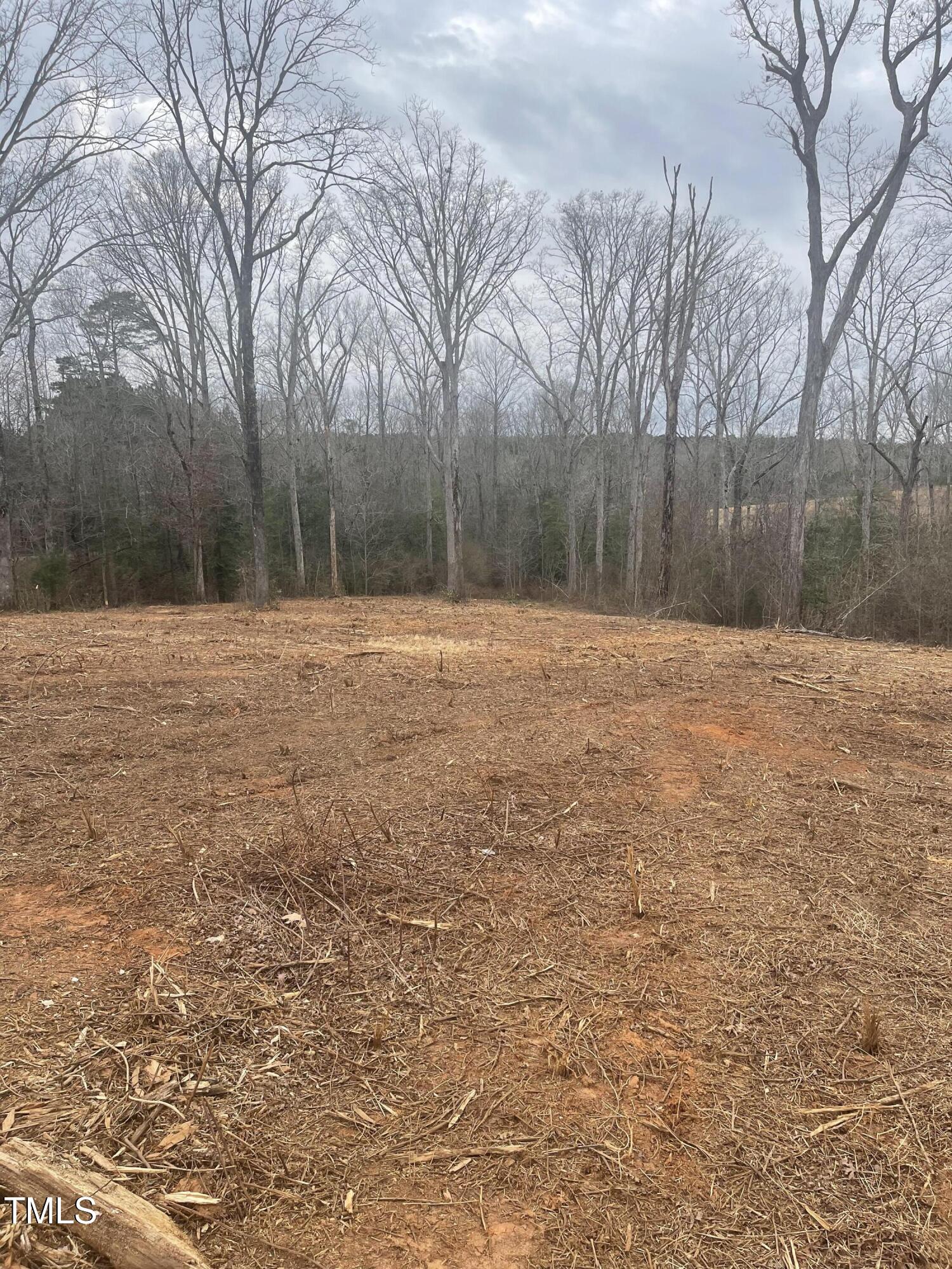 Pic 2