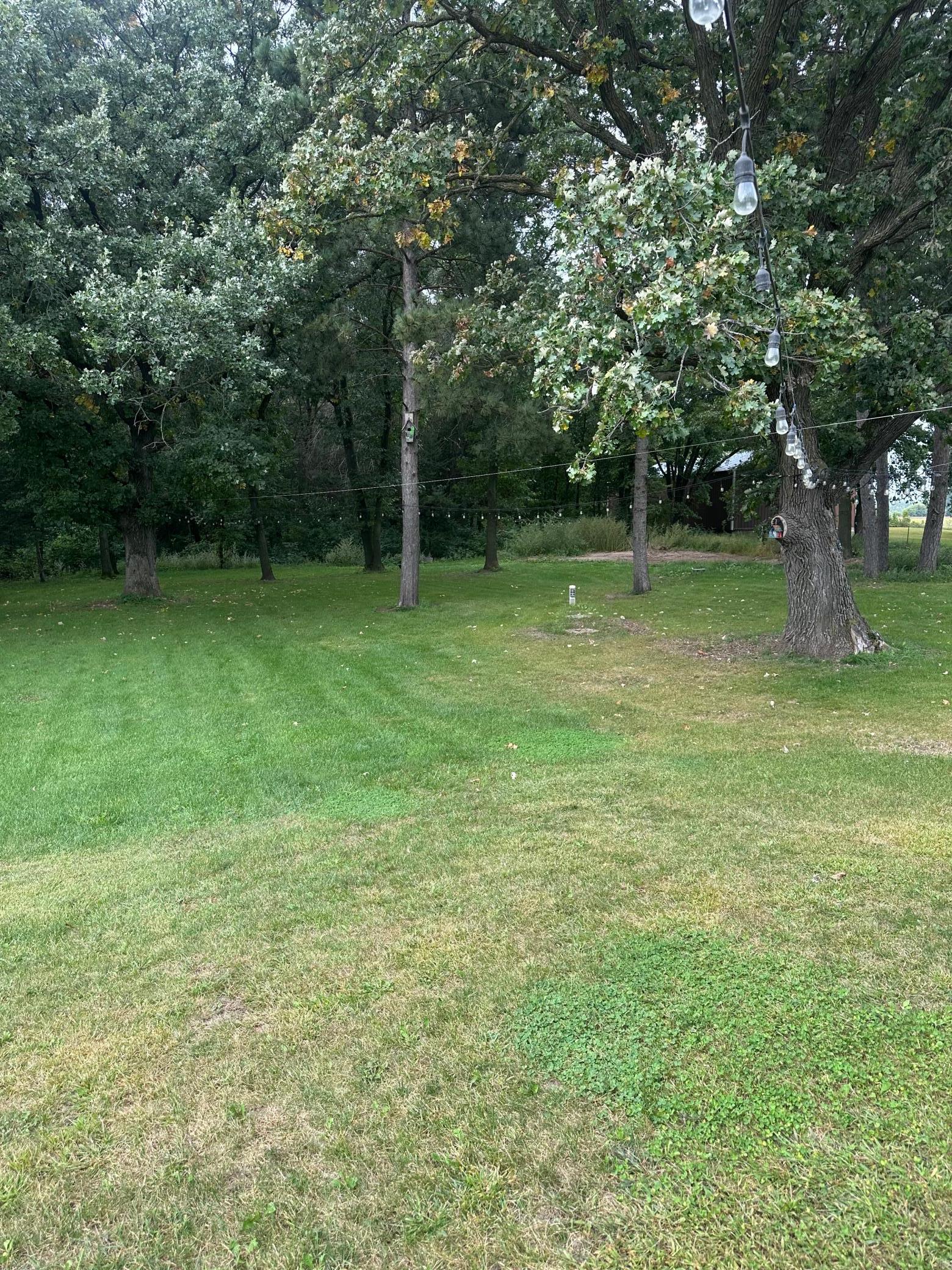 37143 185th Avenue Avon, MN 56310 - Photo 31 of 34