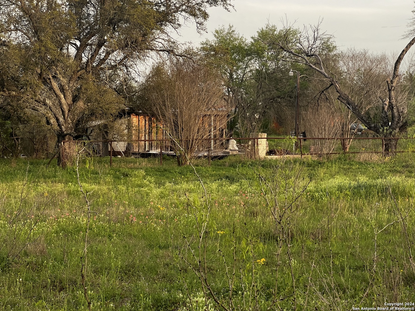 15750 Shepherd Road Atascosa, TX 78002 - Photo 7 of 12 a view of a yard with large trees