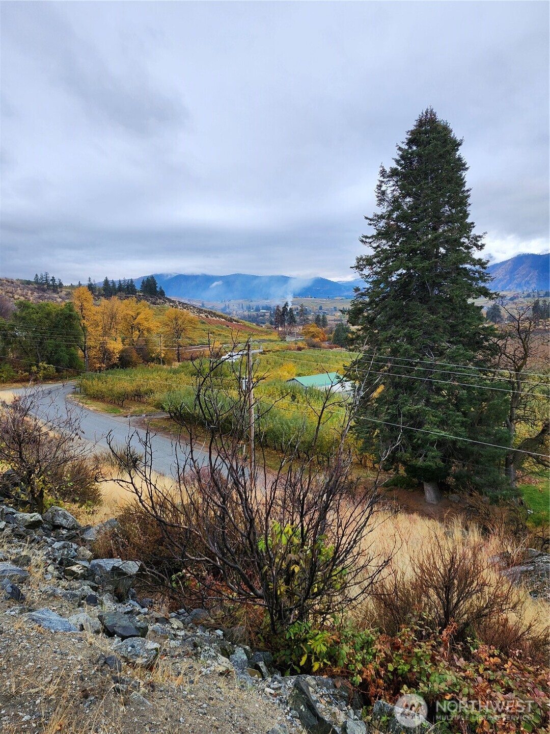 917 Lower Joe Creek Road Manson, WA 98831 - Photo 9 of 25 Gallery Image 9