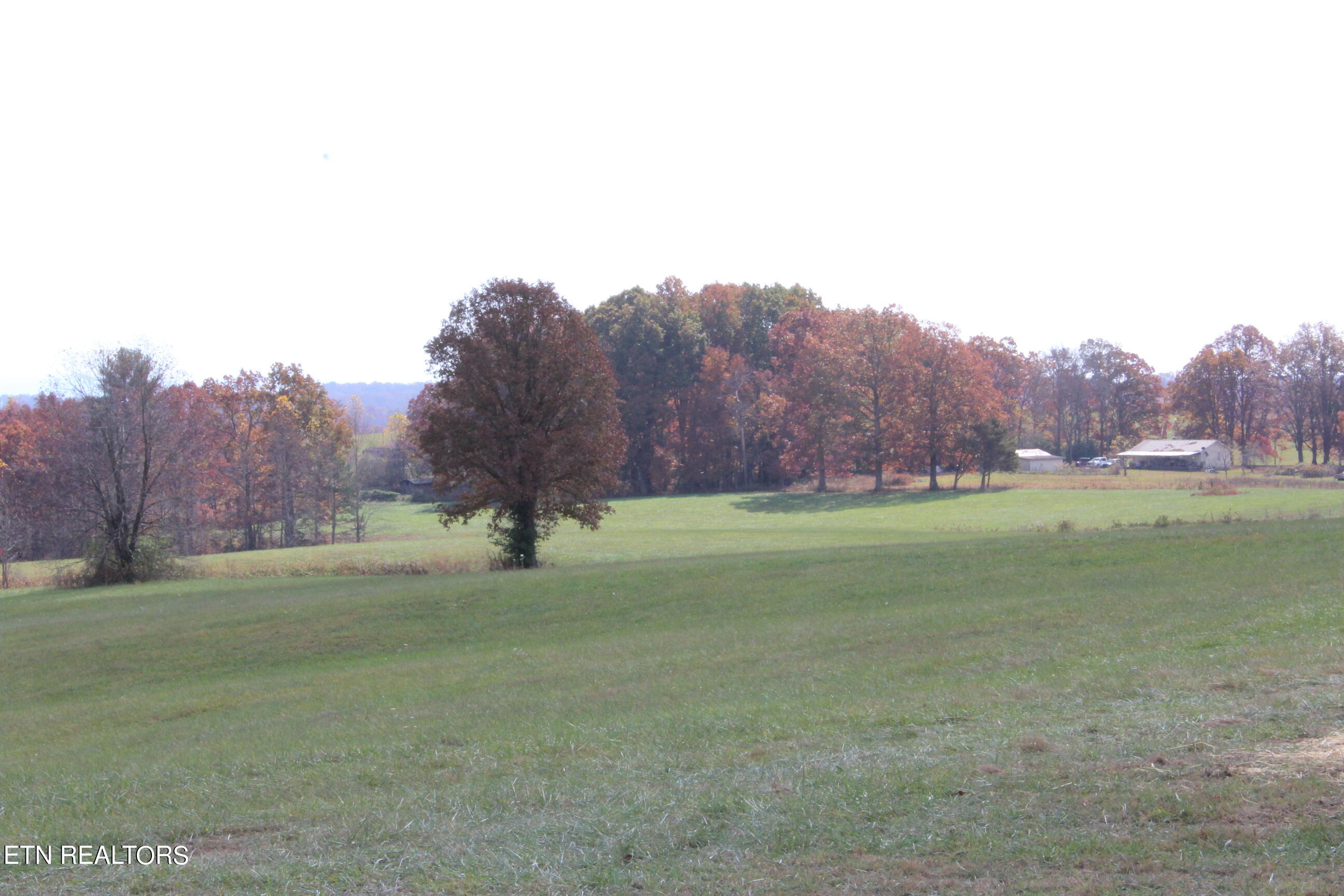 182 Stockton Chapel Road Jamestown, TN 38556 - Photo 29 of 54 IMG_4821