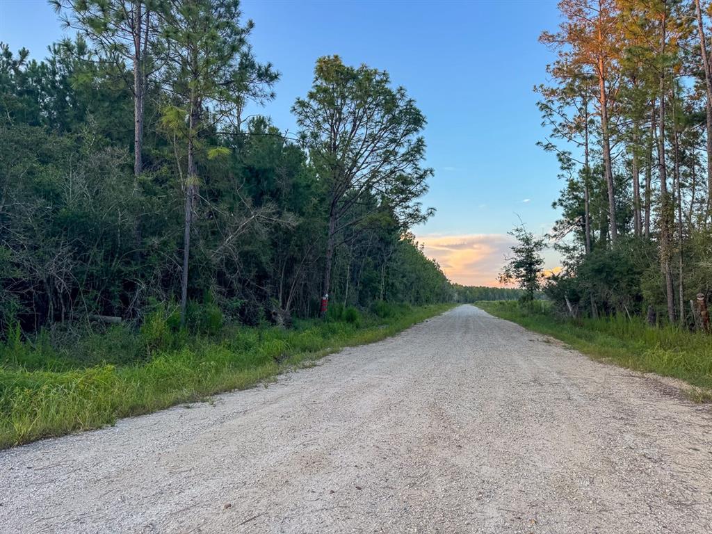 T-2 T-2 Starks Big Woods Rd Lake Starks, LA 70661 - Photo 11 of 17 a view of a out door space