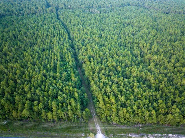 $325,732 | T-2 T-2 Starks Big Woods Rd Lake, Starks, LA 70661