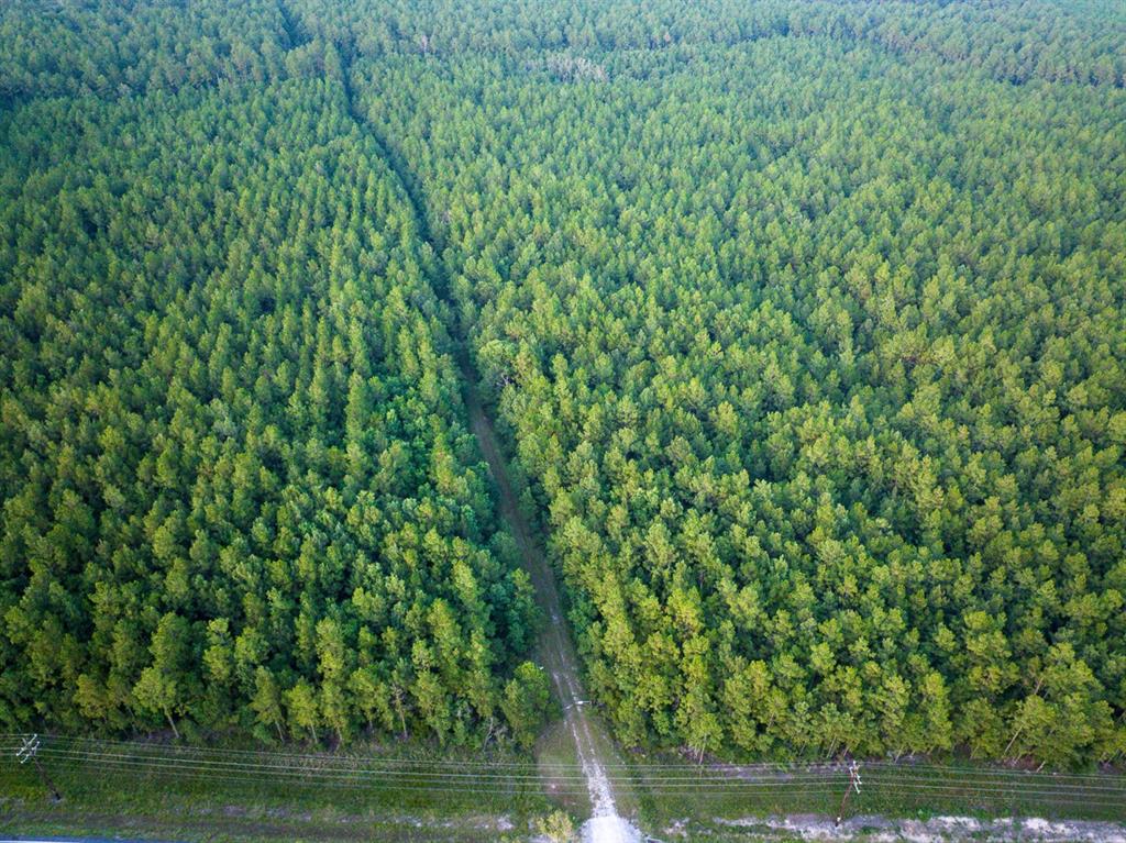 T-2 T-2 Starks Big Woods Rd Lake Starks, LA 70661 - Photo 16 of 17