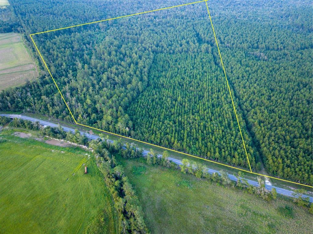 T-2 T-2 Starks Big Woods Rd Lake Starks, LA 70661 - Photo 3 of 17 a view of a yard with a plant