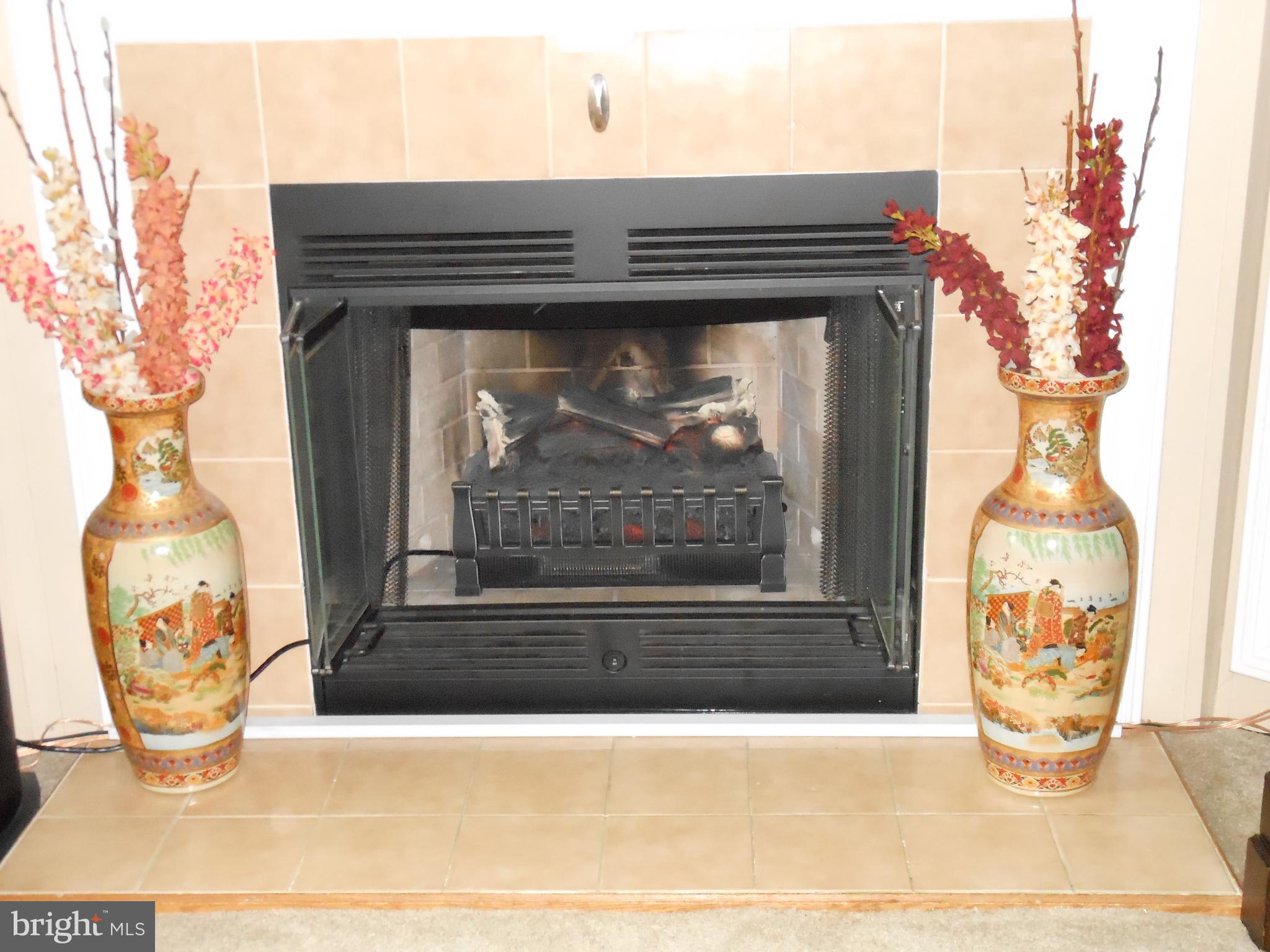4550 Bull Road Dover, PA 17315 - Photo 6 of 14 a view of fireplace in livingroom