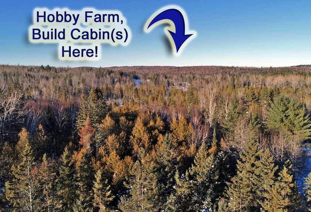 Lot 6 Ludlow Road Houlton, ME 04730 - Photo 6 of 28 land-maine-ludlow-me-2