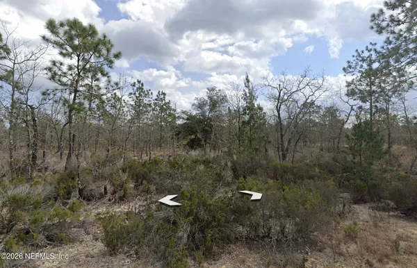 $9,500 | 1 Salem Trail, Interlachen, FL 32148