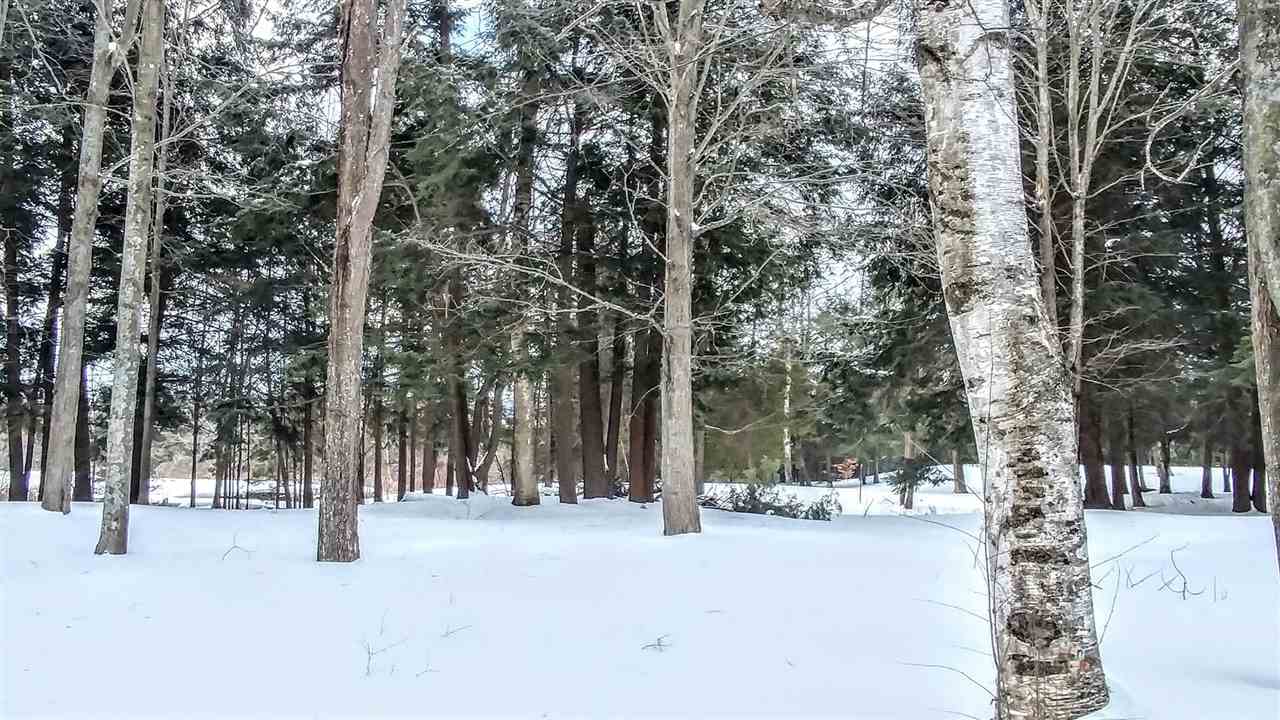 8124 East 46 Road Cadillac, MI 49601 - Photo 18 of 19 1857888-17.JPG