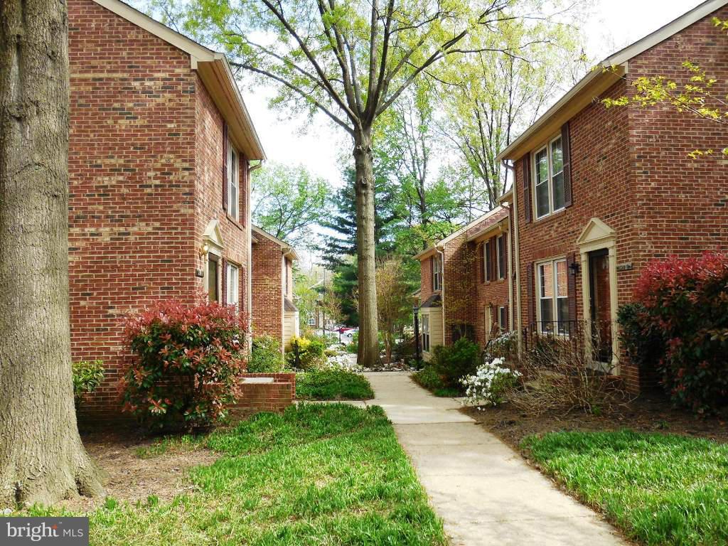 2540 South Walter Reed Drive, Unit 3 Arlington, VA 22206 - Photo 2 of 7 Courtyard