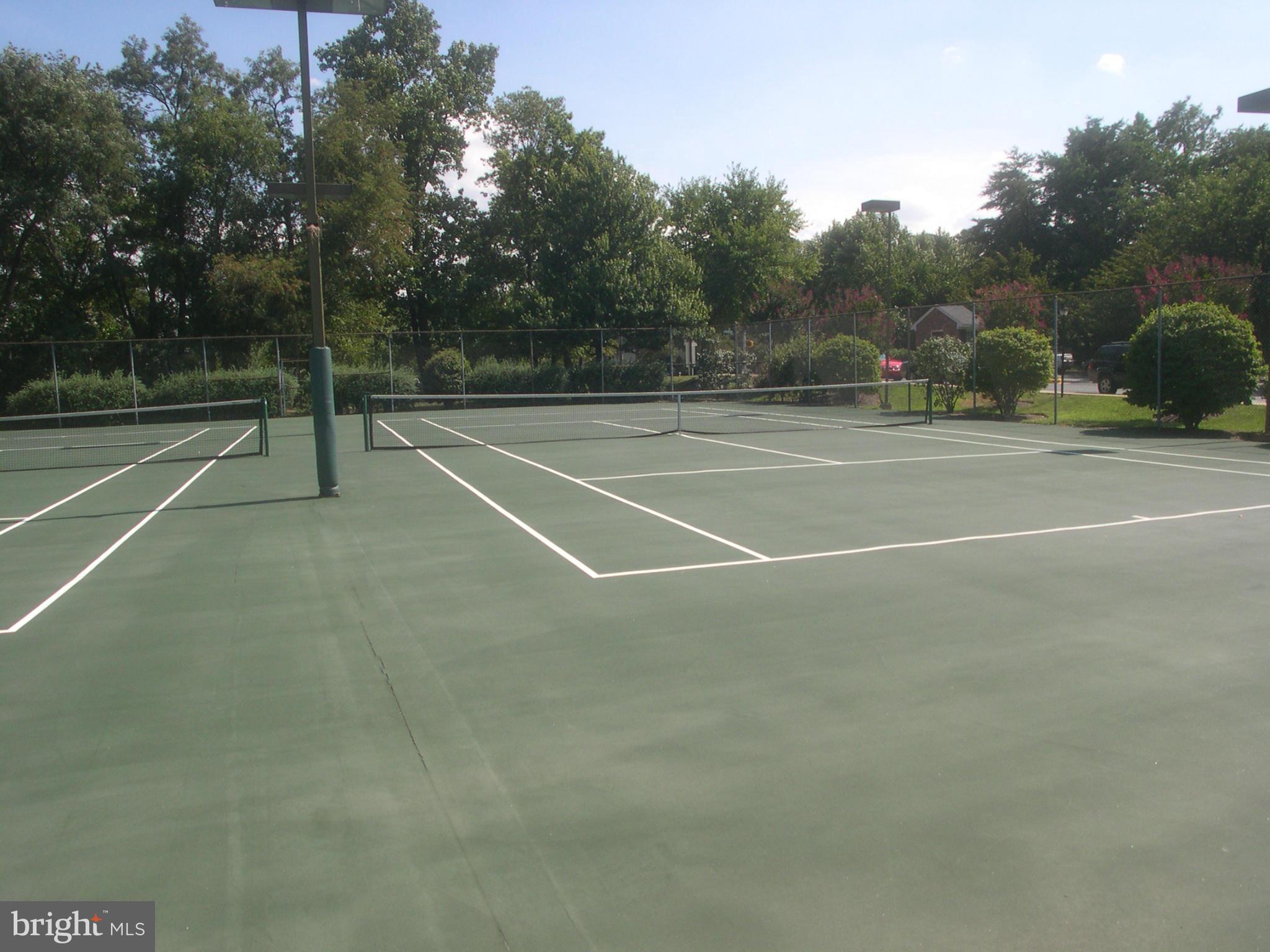2540 South Walter Reed Drive, Unit 3 Arlington, VA 22206 - Photo 7 of 7 Community Tennis Courts