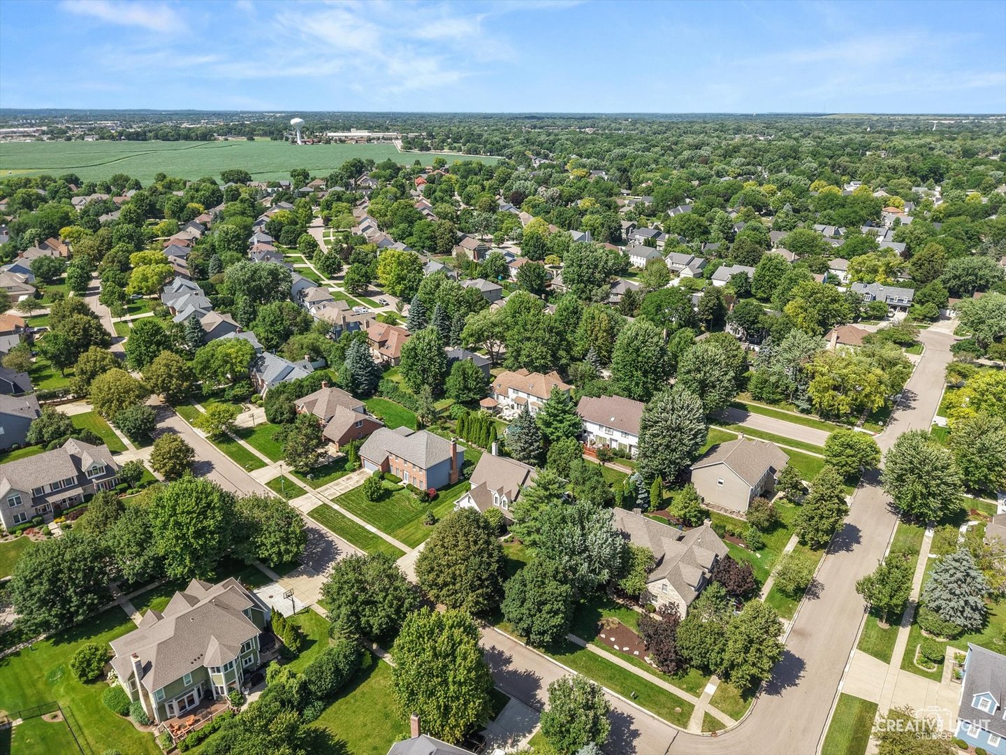1384 Fagan Road Batavia, IL 60510 - Photo 46 of 51
