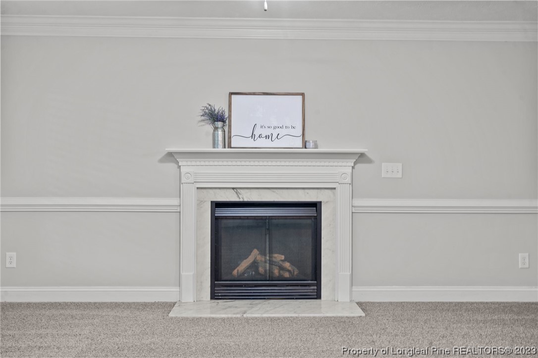195 Culpepper Road Cameron, NC 28326 - Photo 8 of 46 a living room with a fireplace