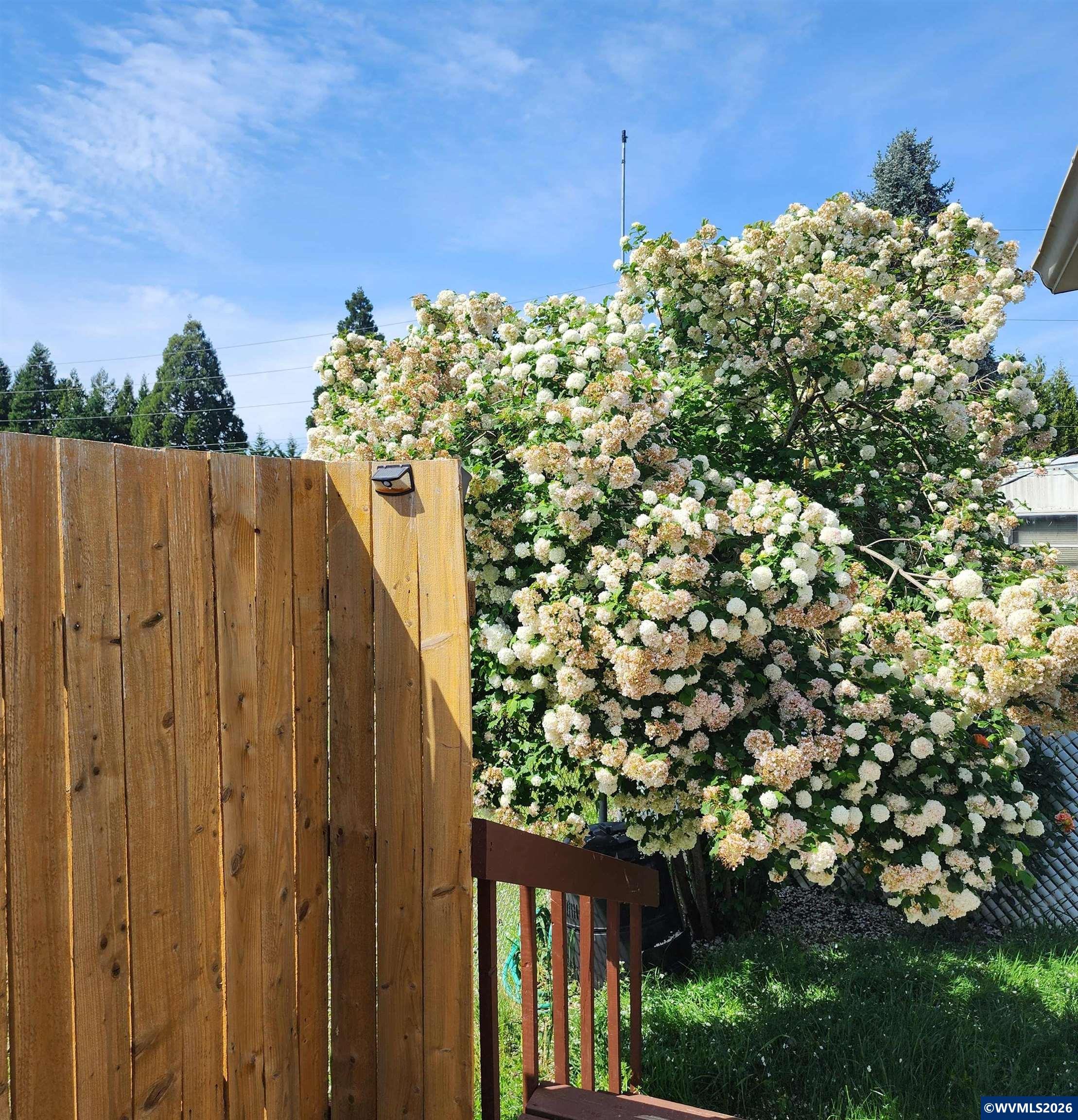 5355 River ( Road, Unit 60 Keizer, OR 97303 - Photo 37 of 37
