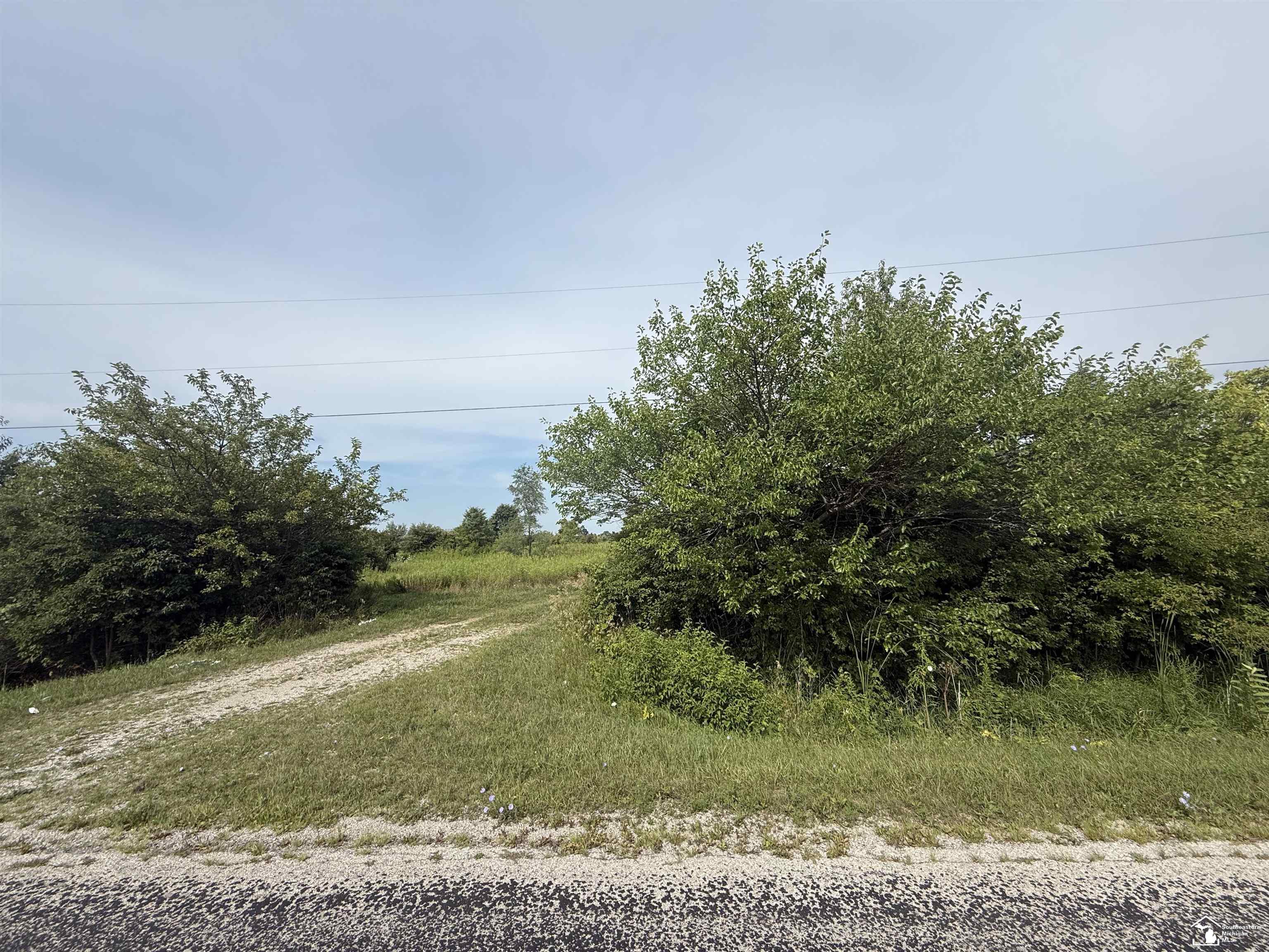 0 Wilcox Road Dundee, MI 48131 - Photo 1 of 20