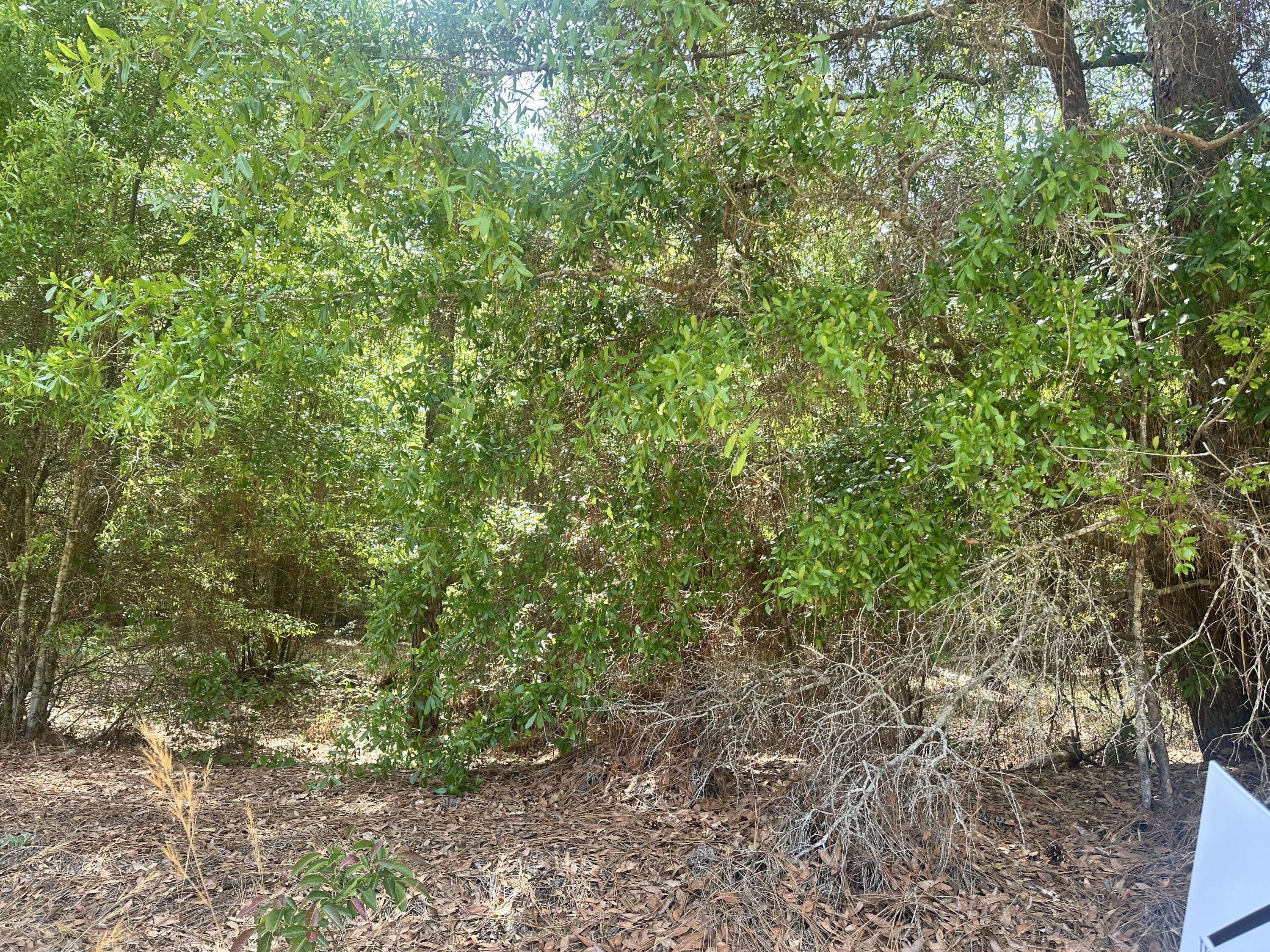 Lot 10 Warbonnet Road Salley, SC 29137 - Photo 2 of 3