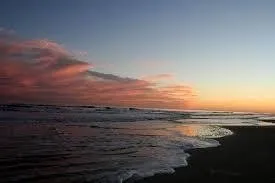 $348,999 | 7924 County Road 257, Freeport, TX 77541