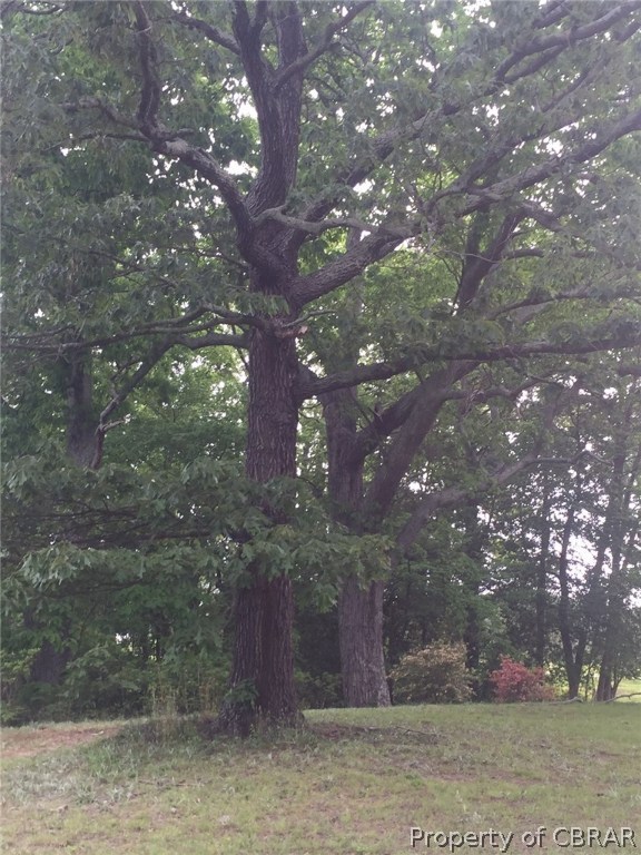 593 Plainview Road Topping, VA 23169 - Photo 19 of 20 WOW incredible GIANT OAK trees and azaleas grace the property and offer lots of shade and privacy from neighbors.