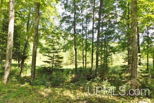 155 Wright Road Crystal Falls, MI 49920 - Photo 29 of 30 Gallery Image 29