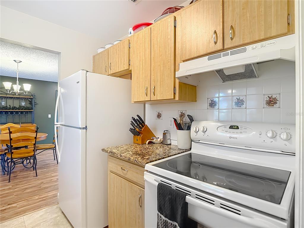 541 Edgehill Avenue Spring Hill, FL 34606 - Photo 13 of 38