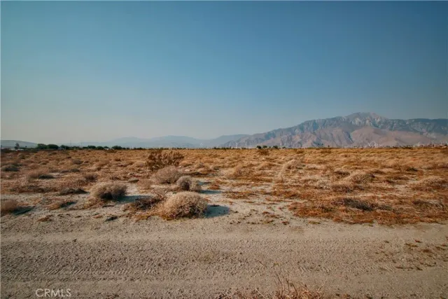 a view of a dry yard