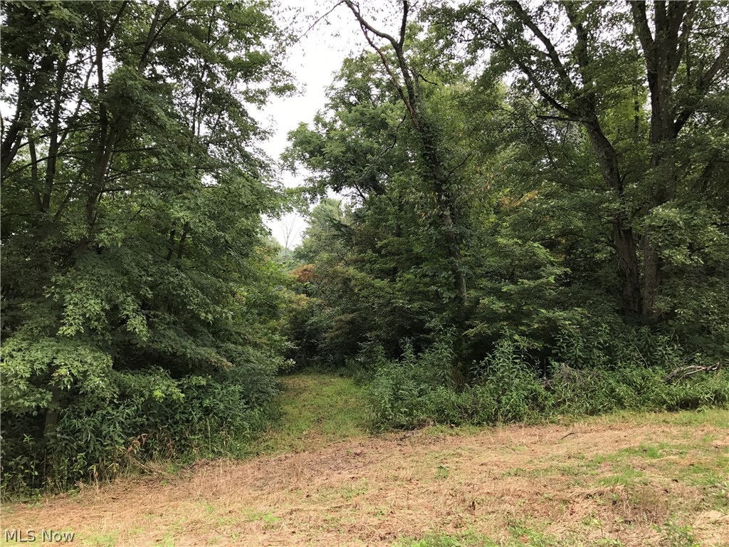5575 Green Ridge Road Southeast New Philadelphia, OH 44663 - Photo 23 of 25
